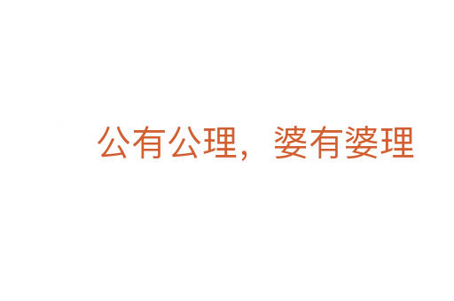 公有公理,婆有婆理