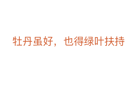 牡丹虽好,也得绿叶扶持