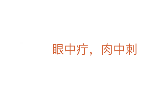 眼中疔,肉中刺