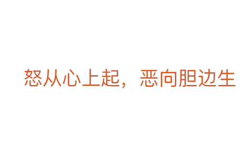 怒从心上起,恶向胆边生