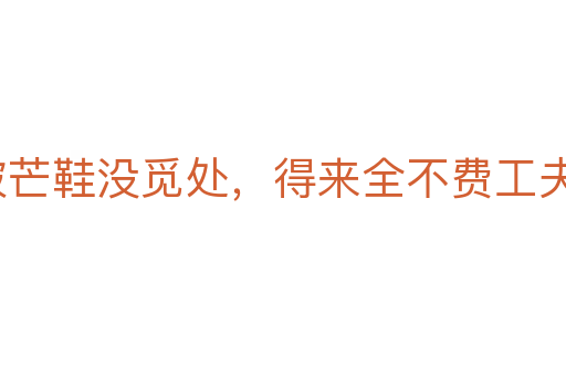 踏破芒鞋没觅处,得来全不费工夫