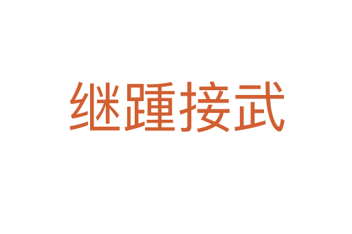 继踵接武