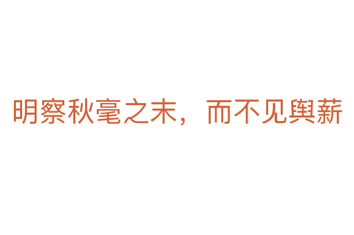明察秋毫之末,而不见舆薪