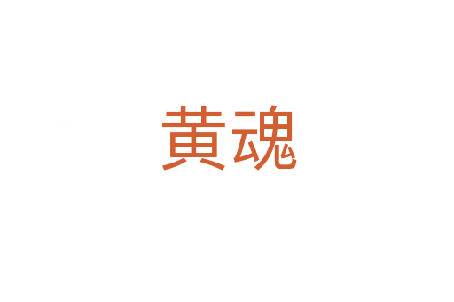 黄魂
