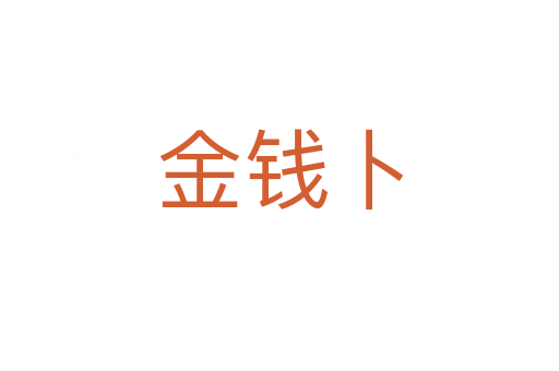 金钱卜