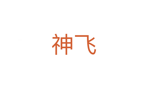 神飞