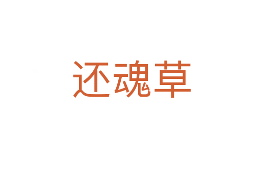 还魂草
