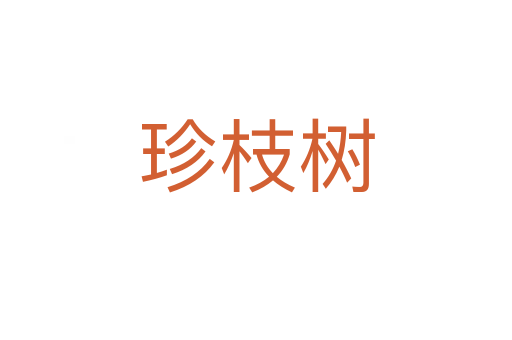 珍枝树