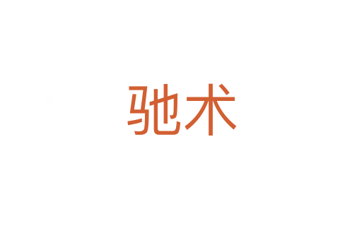 驰术