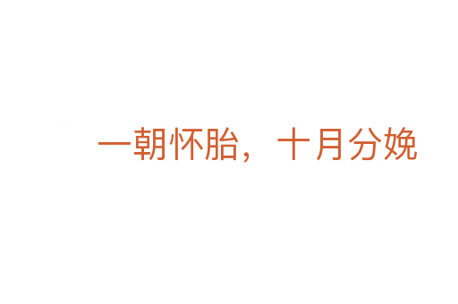 一朝怀胎,十月分娩