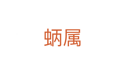 蛃属