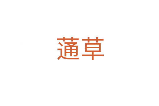 蓪草