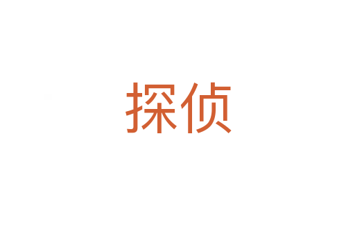 探侦