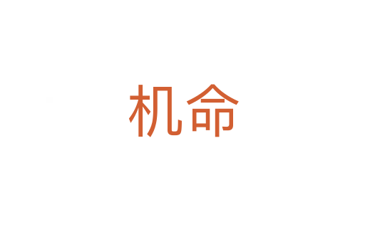 机命