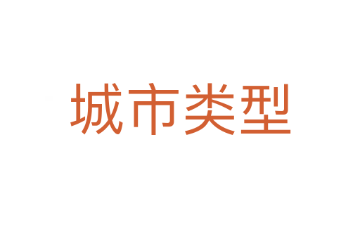 城市类型