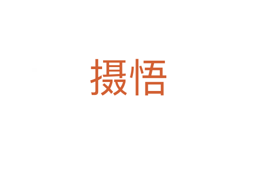 摄悟