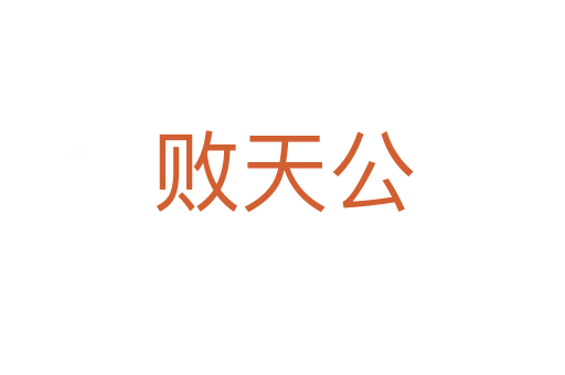 败天公