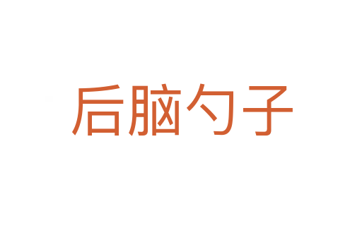 后脑勺子