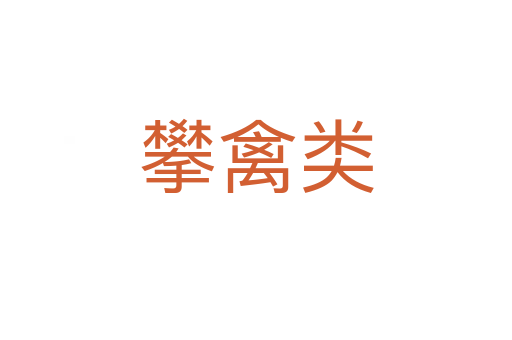攀禽类