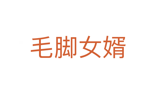 毛脚女婿