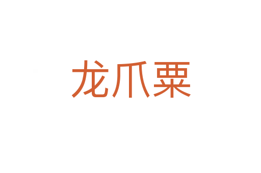 龙爪粟