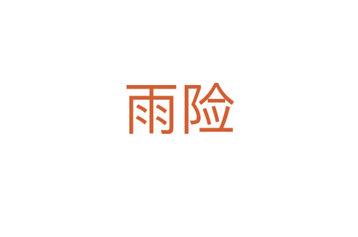 雨险