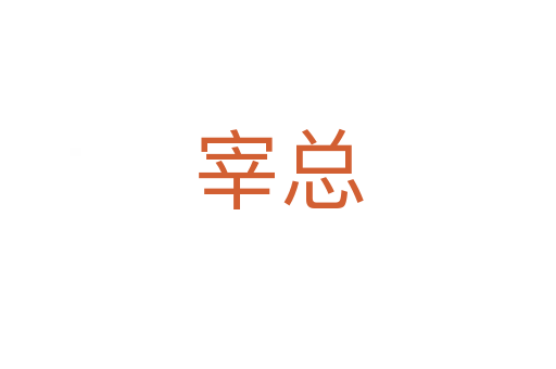 宰总