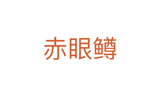 赤眼鳟