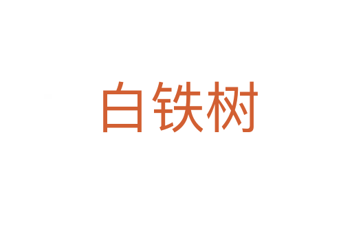 白铁树