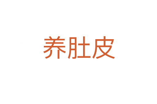养肚皮