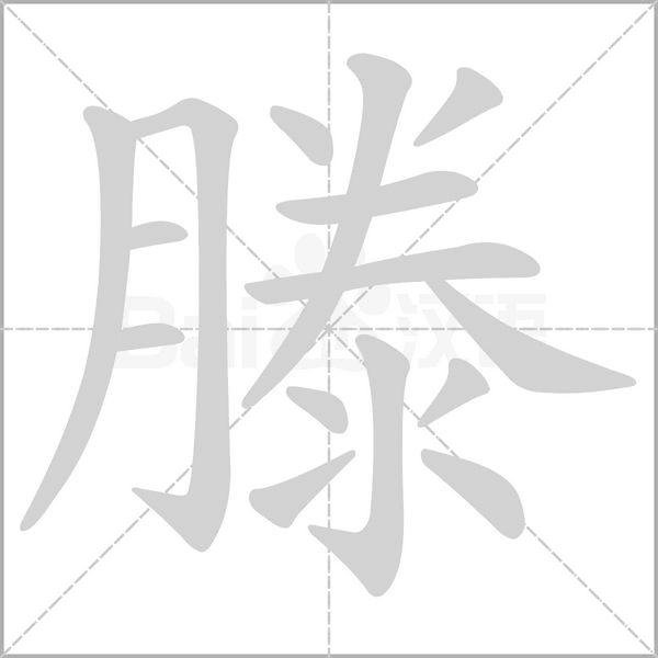 滕的笔顺动画演示