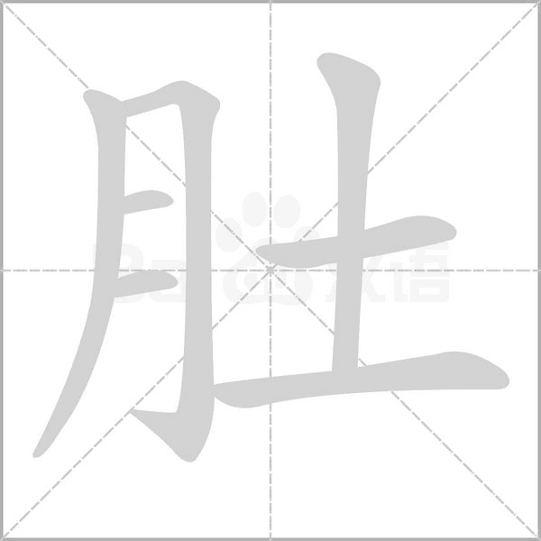 肚的笔顺动画演示