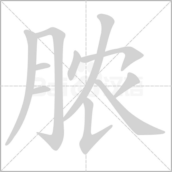 脓的笔顺动画演示